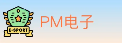 PM电子 logo